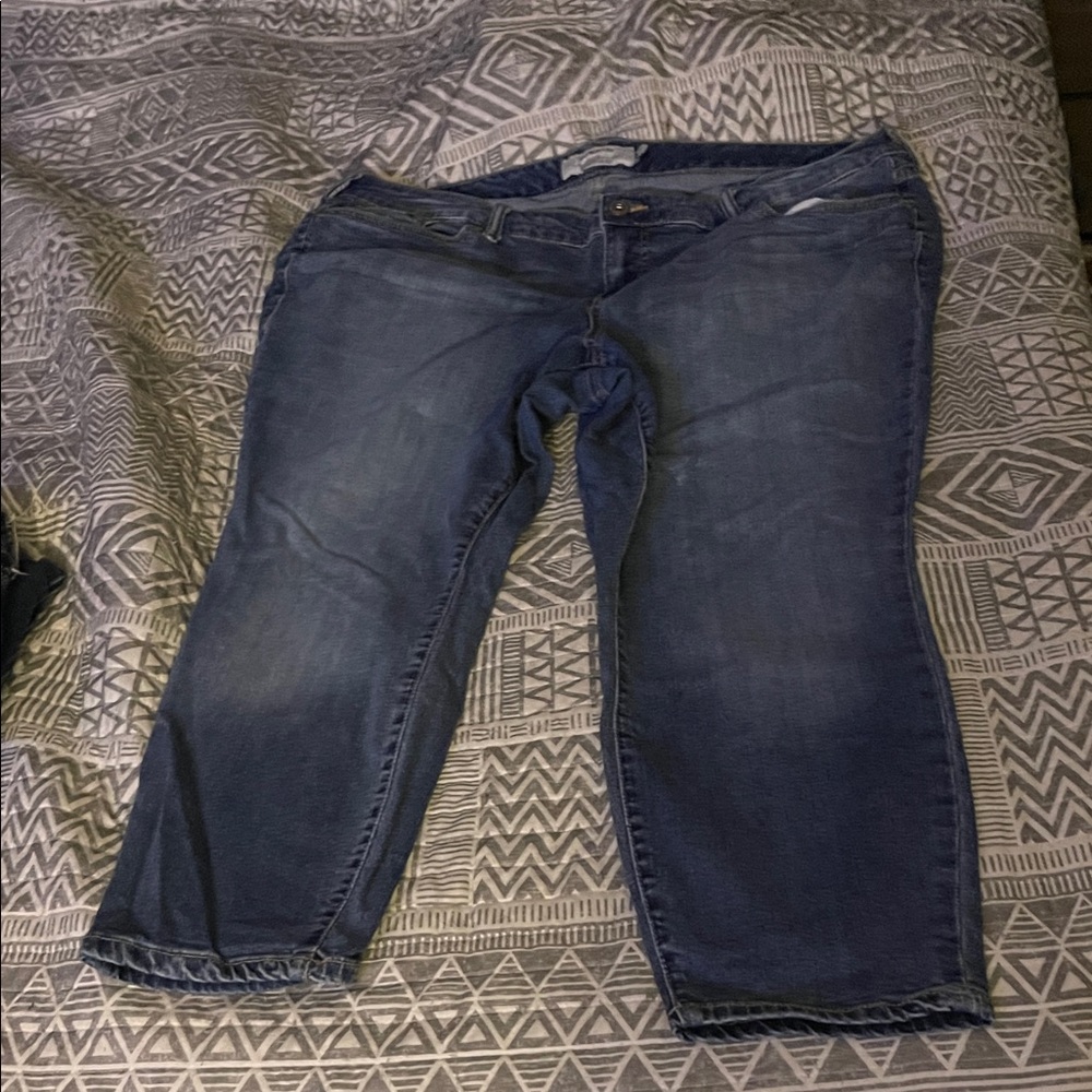 Torrid Medium Blue Ankle Jeans